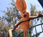 Story-based educational videos for Healthy Kids New Mexico