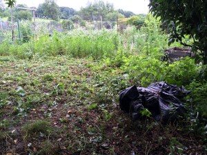 Taking down the weeds.